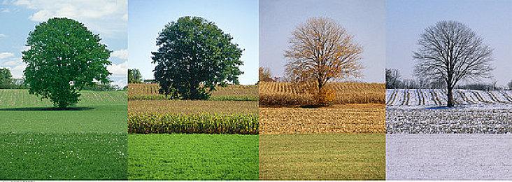 Switch 2 Pro控制器将支持耳机插孔